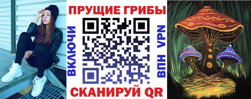 Псилоцибиновые грибы Cubensis  как найти   гидра tor  Короча 